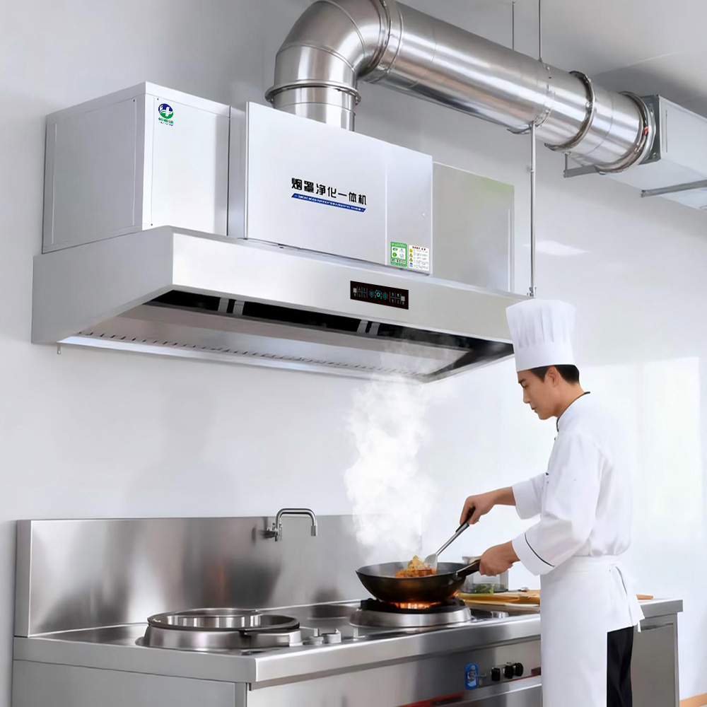 Cappa Aspirante Intelligente p - Commercial Kitchen Hood Design recensione e prezzo