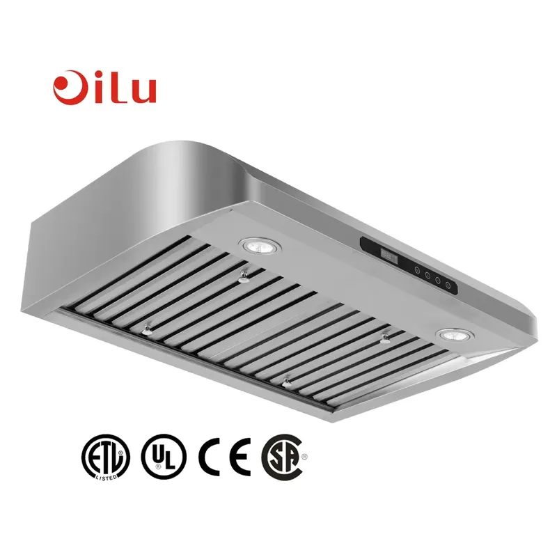 Cappa Aspirante Elettrica Comm - Commercial Kitchen Hood Design recensione e prezzo